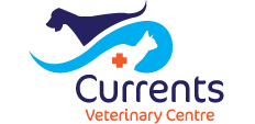 Currents Veterinary Centre at Windermere